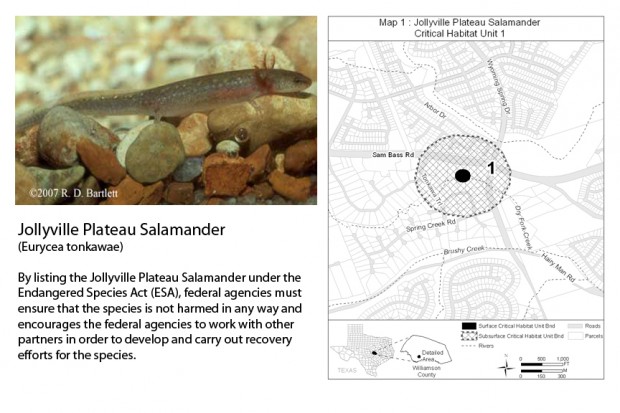 03_jollyville StateImpact Texas